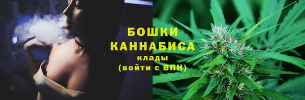 прущий лед Бородино