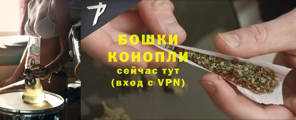 прущий лед Бородино