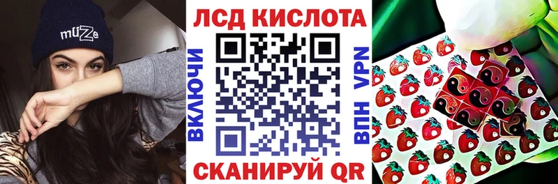 Марки NBOMe 1500мкг  купить наркотики цена  Курган 