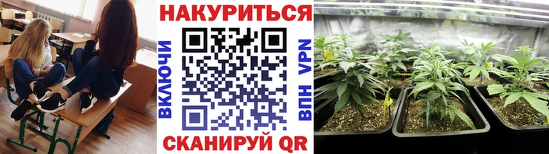 Марихуана MAZAR где можно купить наркотик Курган